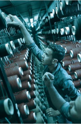 THE EGYPTIAN DUAL EDUCATION AND TRAINING SYSTEM